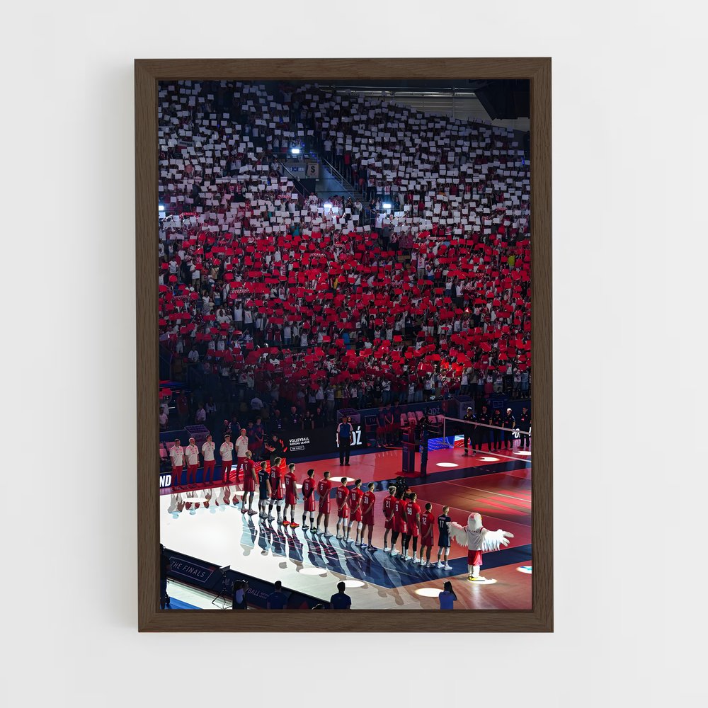 Poster La Fureur de la Foule – affiche Volleyball (vue 5)